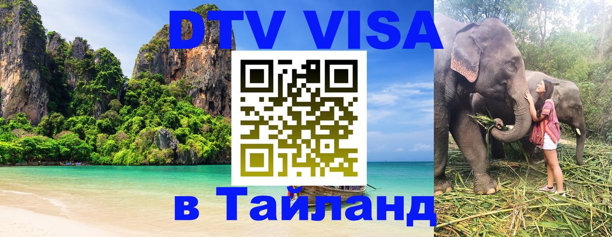 Оформление DTV визы под ключ: стоимость и тарифы, только загранпаспорт - Новошахтинск  21.11.2025 
